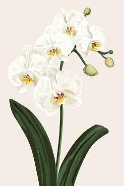 online group sympathy cards